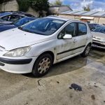 PEUGEOT 307 PHASE 1